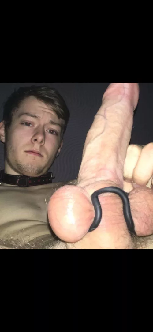 Please help me with this, I'll do what you want! by Normal_Crazy_9898