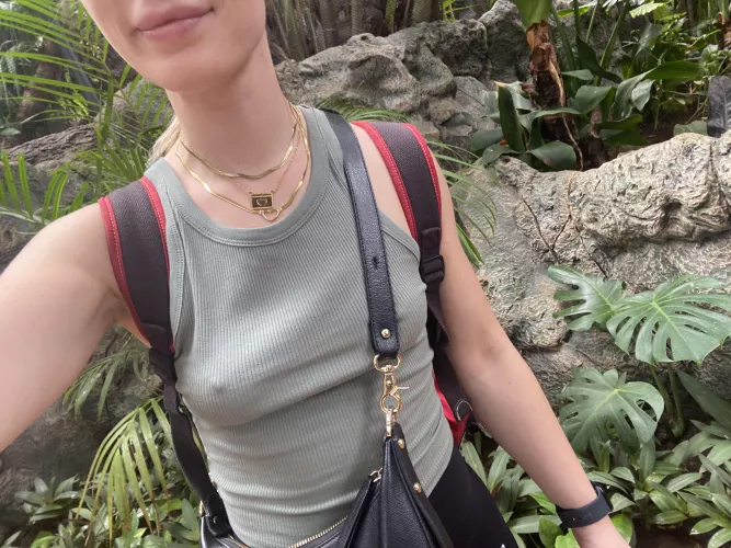 Pokies in wild! by NatyBond_OF