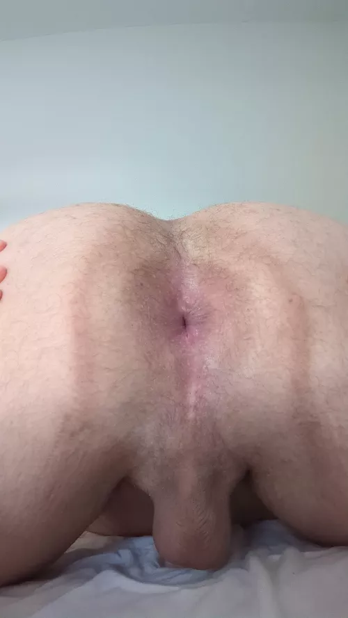 Would you eat it? by Wayne-warry