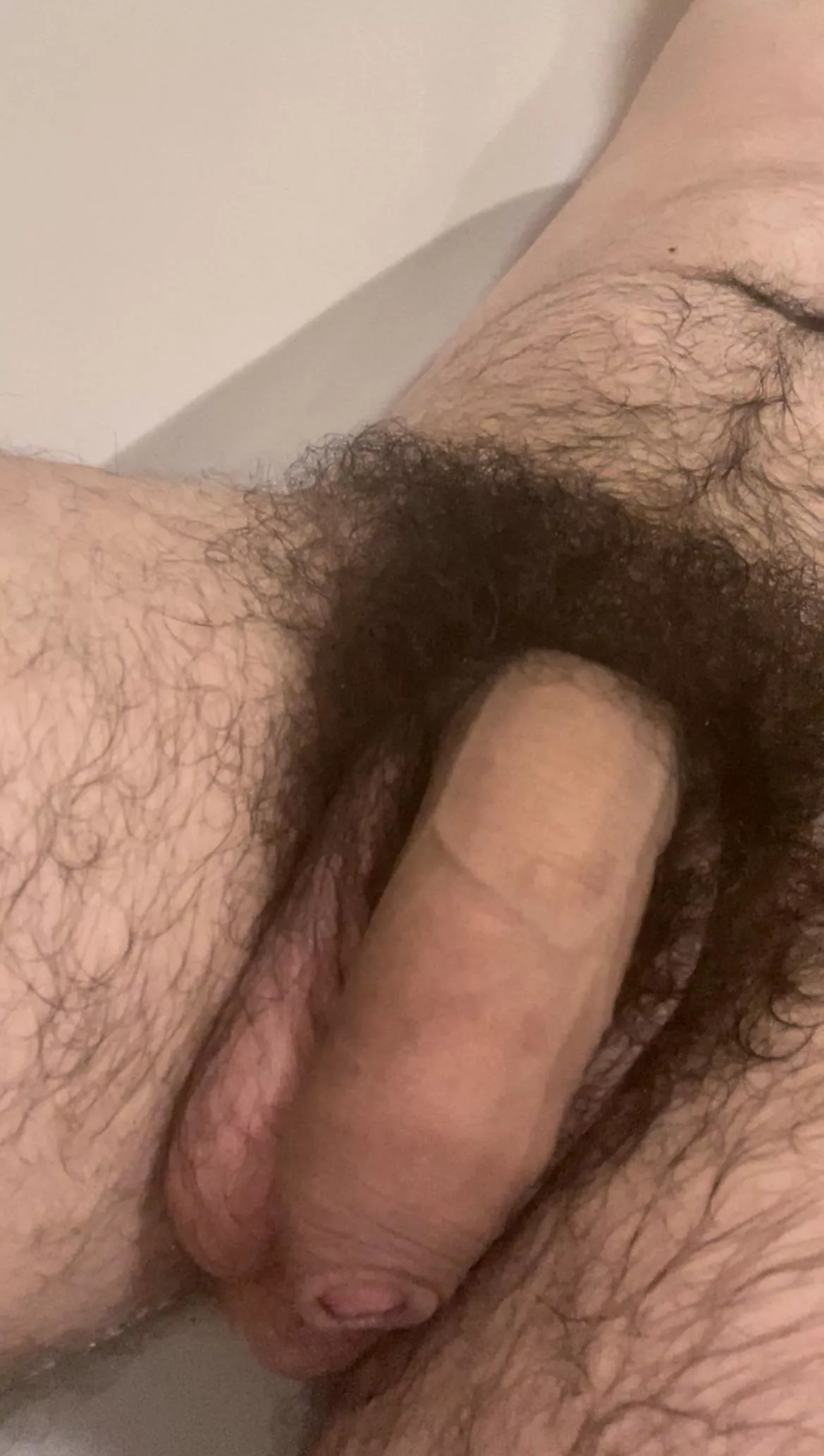 You like my big hairy cock?😏🍆Dms open😈 posted by HungYoungAlpha-