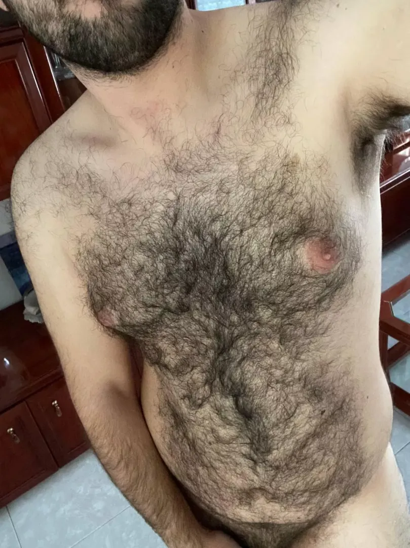 24 y/o. Would love to become a bear by Voidnik