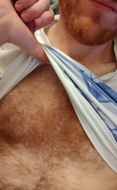 36 looking for 18-25yo good boy. Gingerdic87 by Lucky_Cable_7500