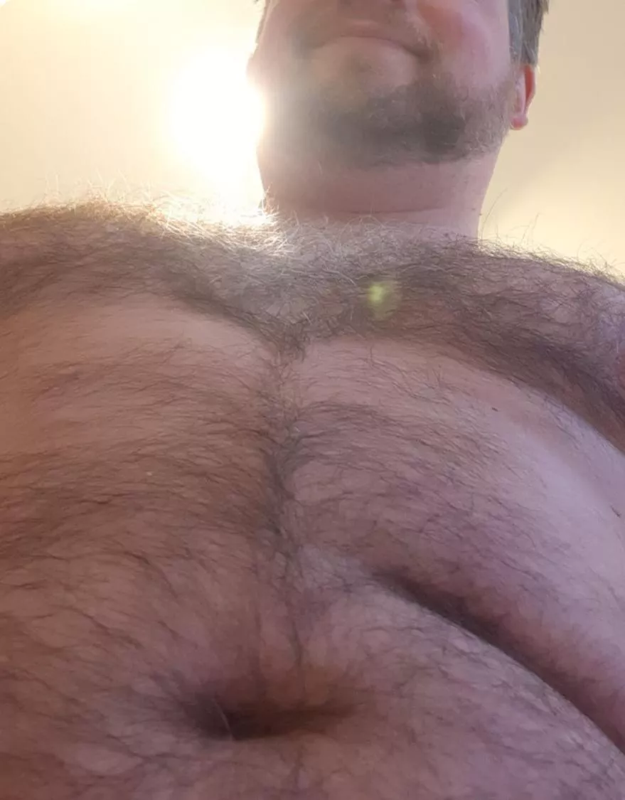 (39) Just another chest pic posted by Holla454