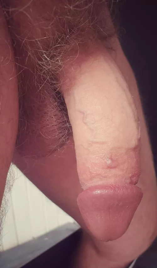 (45) Let's take the rest of the day off and get naked, bud. 😜 by Infinite-Walk2282