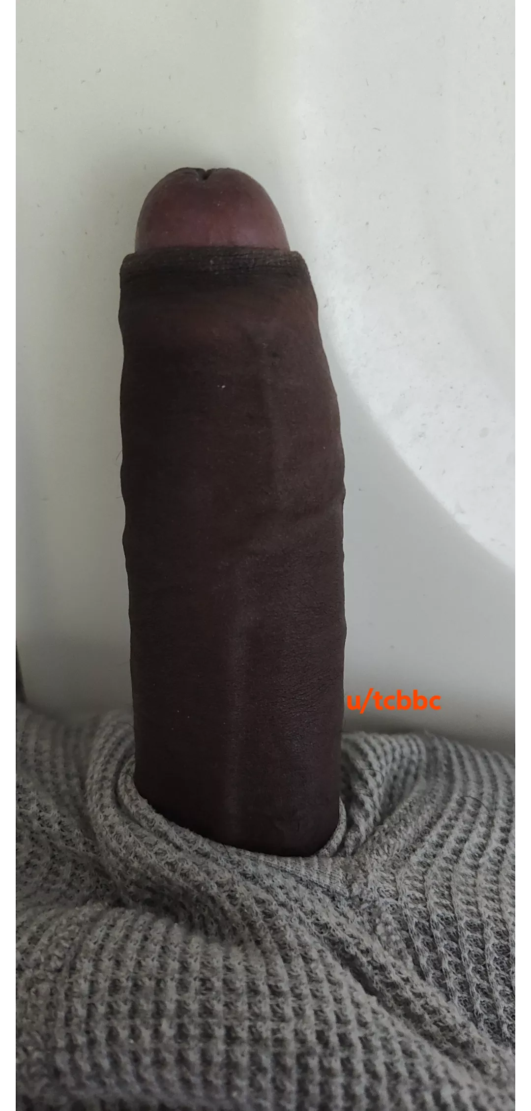 Any single or attached female interested in long term creampie fun in socal? posted by TCBBC