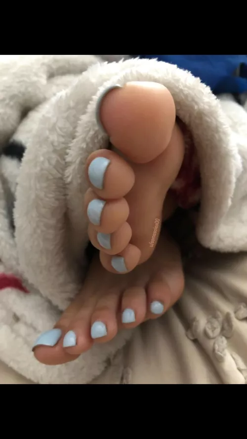 can you smell them? by somesoles00