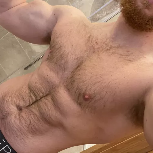 Come big your Hairy Daddy a hug by Bearded_alpha1