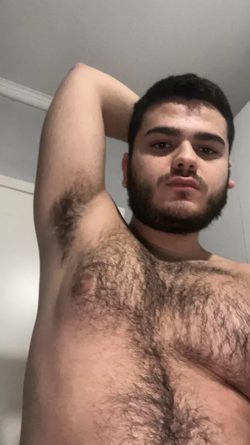 Come sniff my arab armpit by Former_Judge6015