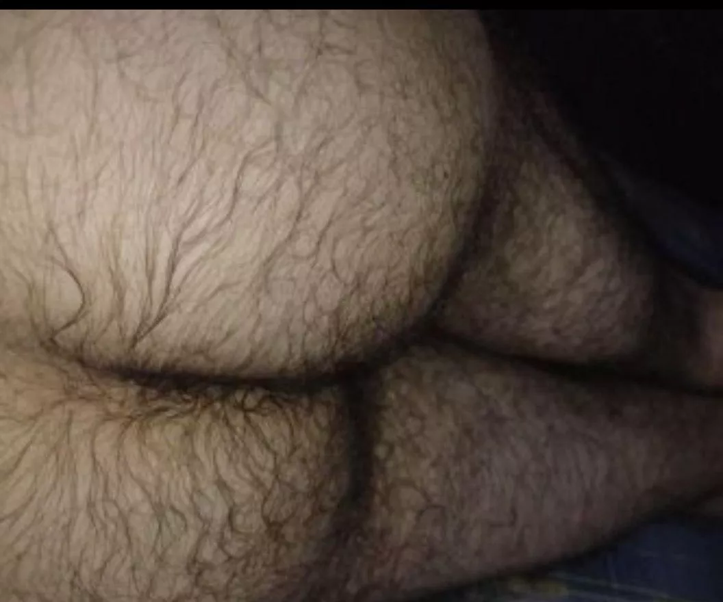 Cover my hairy ass with cum posted by Quick-Accident-6467
