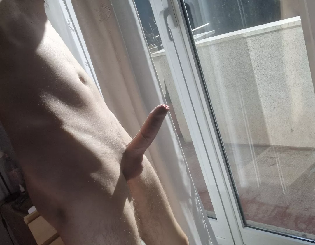 Do you think the neighbors enjoy the view? posted by HastMoose