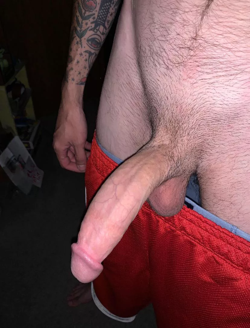 fat morning cock anyone? posted by A_ManWithNoName