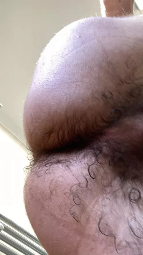 Hairy enough? by shrimpdrivingacar