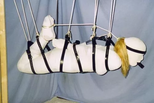 Hanging around for the evening posted by Bonding_Enthusiast