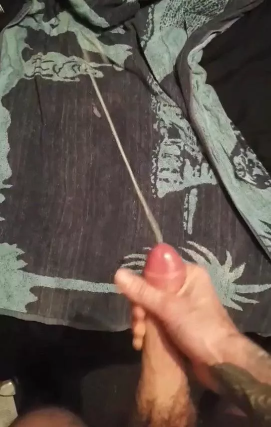 How far can you shoot? posted by ThatHungTop