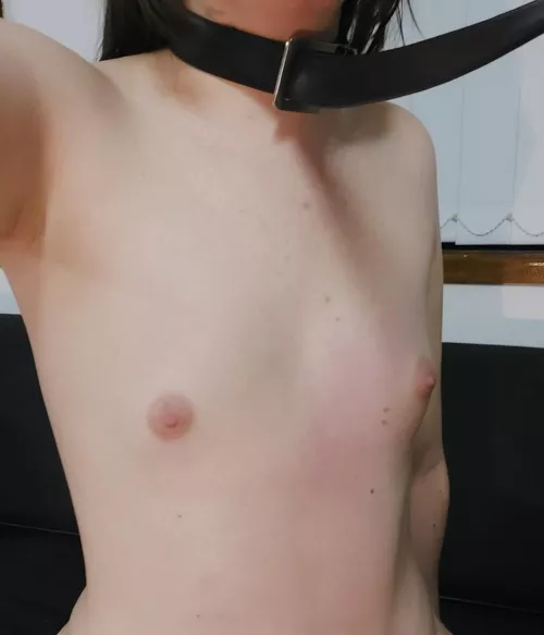 I’m waiting for a man who loves small tits to grab this belt and make use of me by mirinkitsune