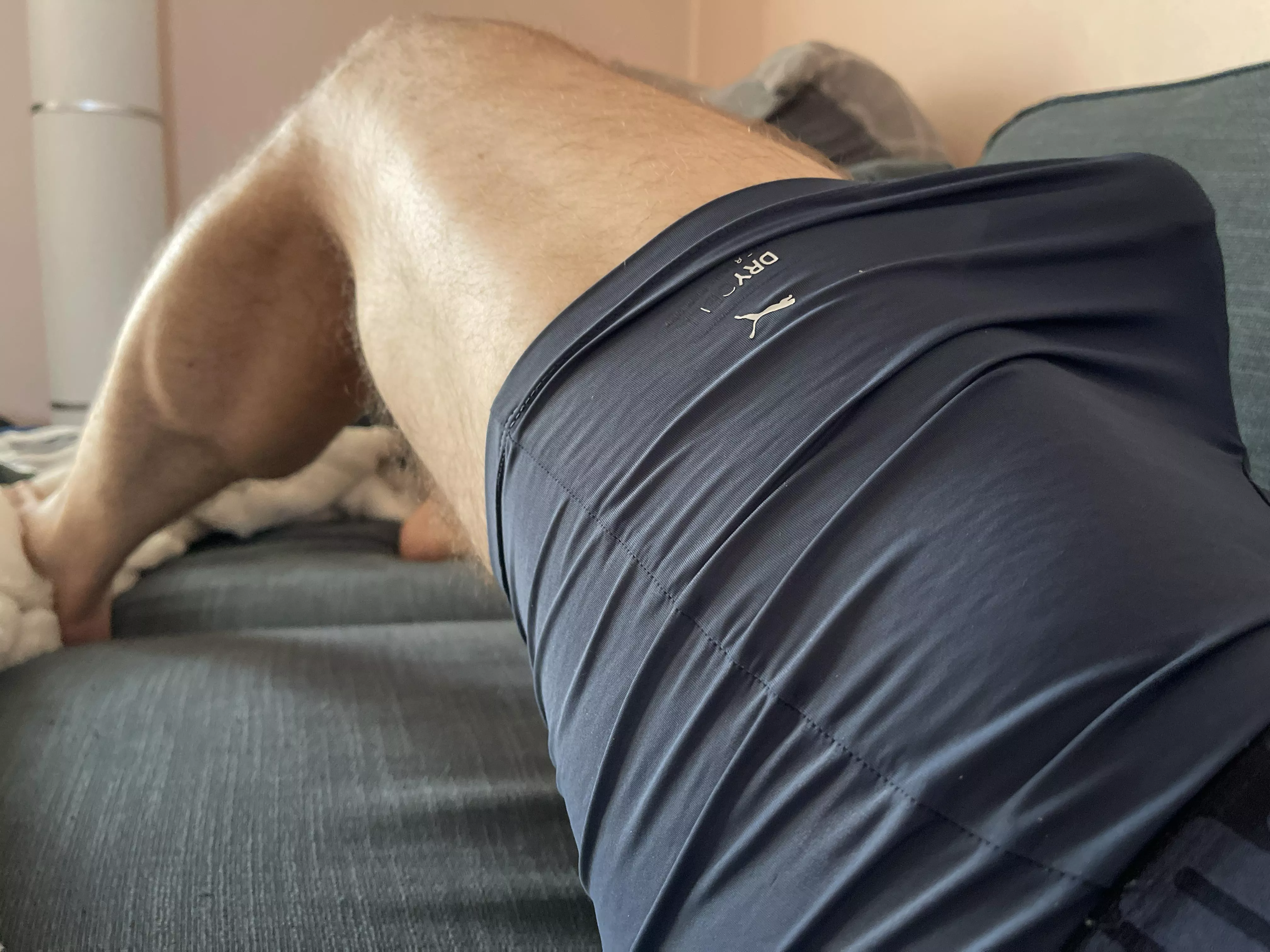 Legs coming along well posted by dstew135