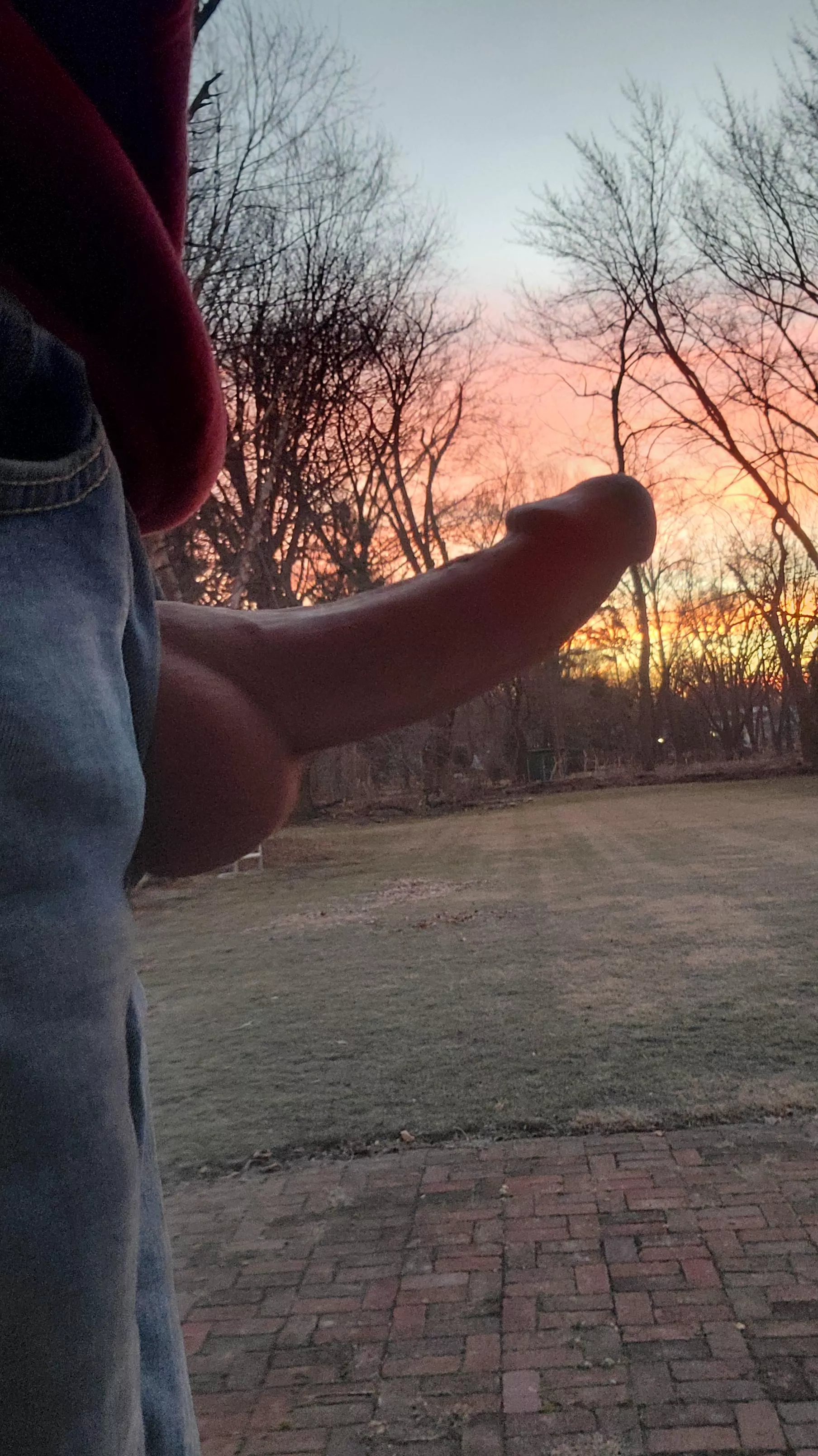 Morning Wood (62) posted by BuckeyeWood