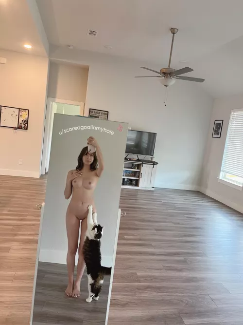 My cat is not a paid actor 😂 by scoreagoalinmyhole