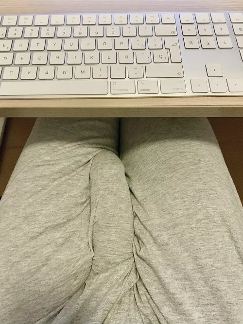 Not easy to hide by MenloBull