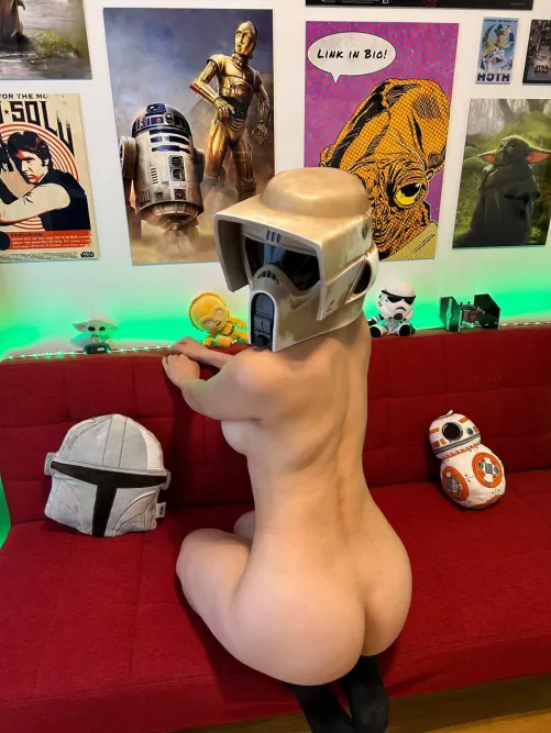 Scout Trooper (SolidlyEmbarrassed) by SolidlyEmbarrassed