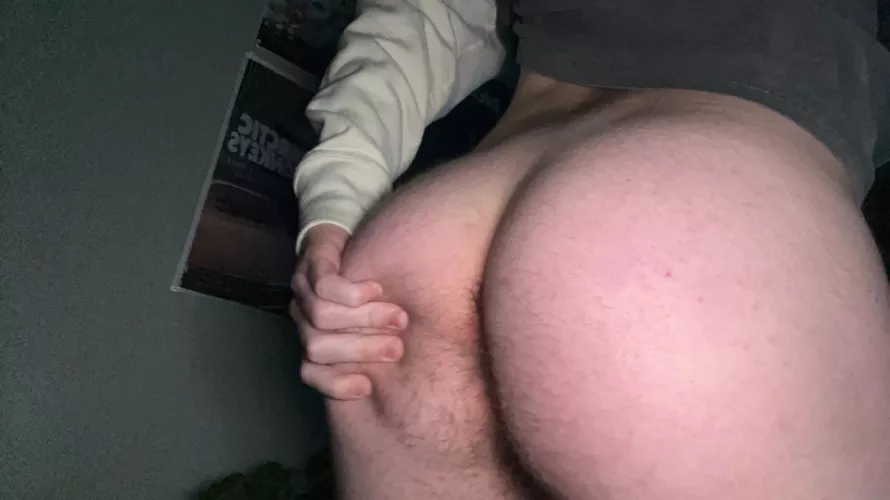 Should I let my ass get hairy like this again ? by BriefCompetition8799
