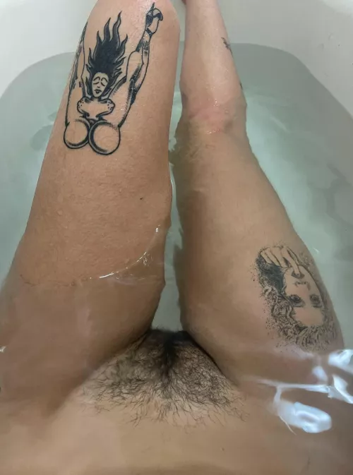 this the perfect triangle bush by kmifghfghfghyt