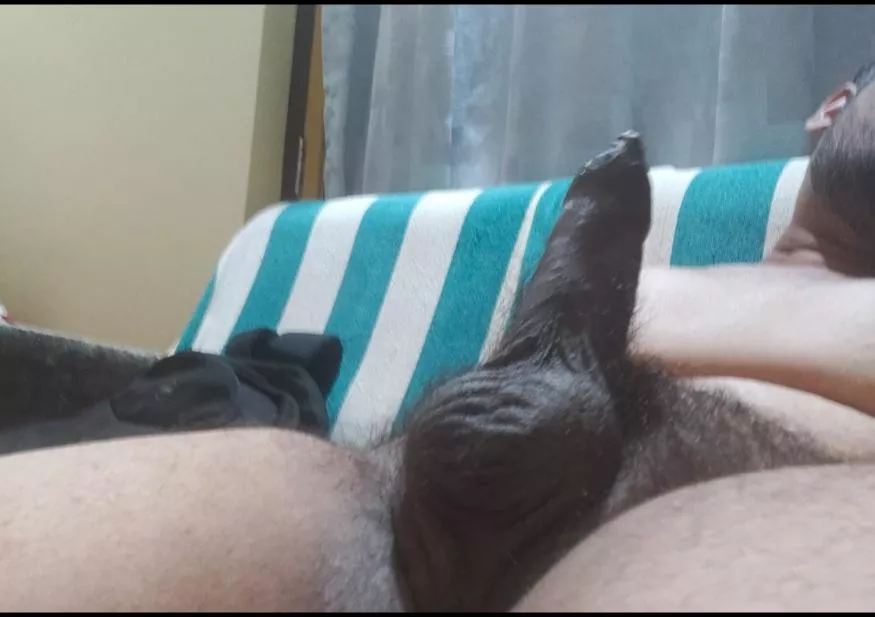 Up for breeding some women [26] posted by Usual_Structure_2484