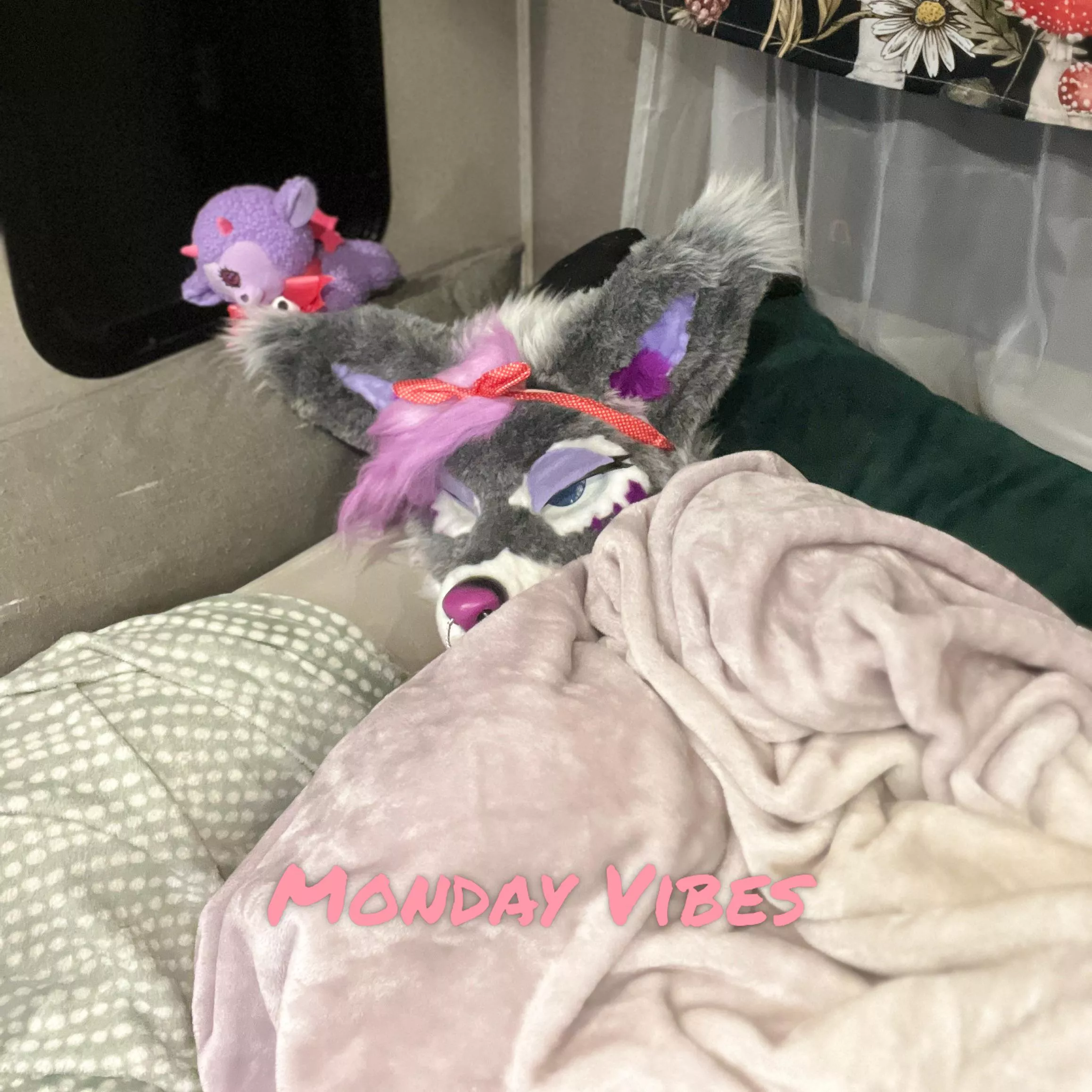 Waking up to embrace those Monday Vibes ✨🐾💤🐾✨ posted by Rayne_Rot