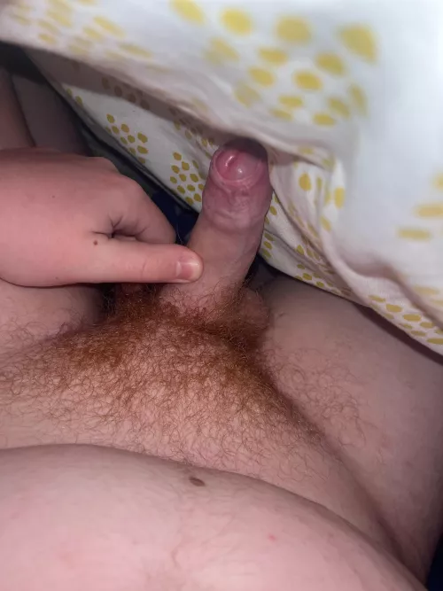 What does everyone think of my ginger pubes by No-Contract2027