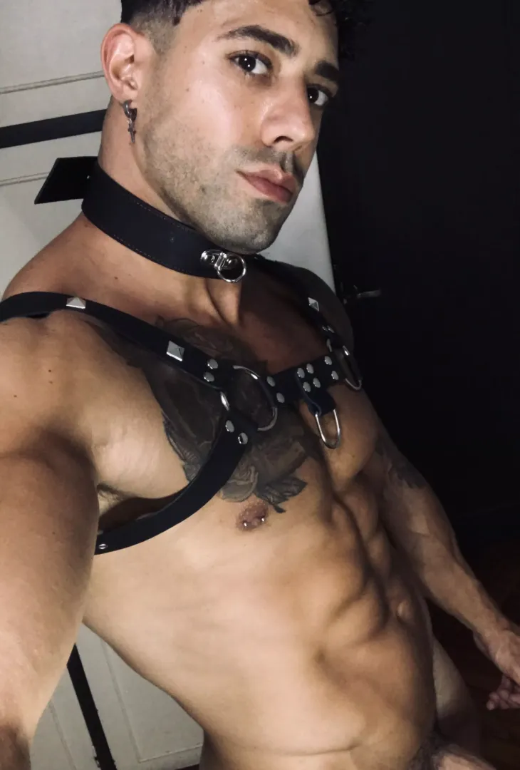 Would you like to be punished or punish me? posted by TattooedMuscled