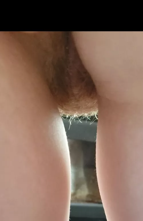 Bald is boring by Initiative-Pitiful