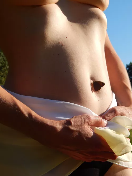 Butterfly in focus by isa_bea