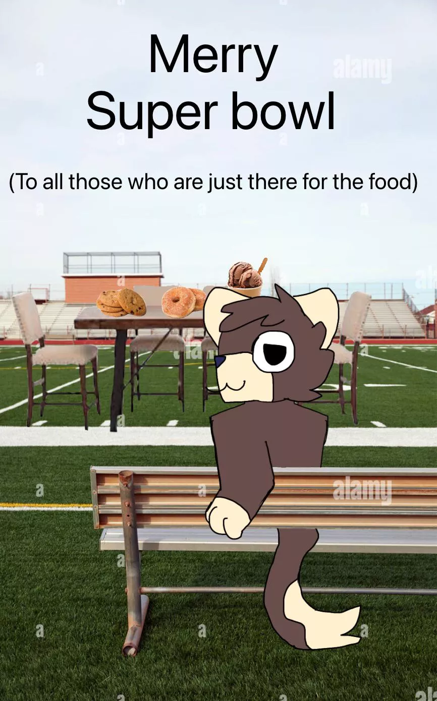 Didnt think to post this on actual Superbowl day. Oh well posted by FallenIsAWeirdCat