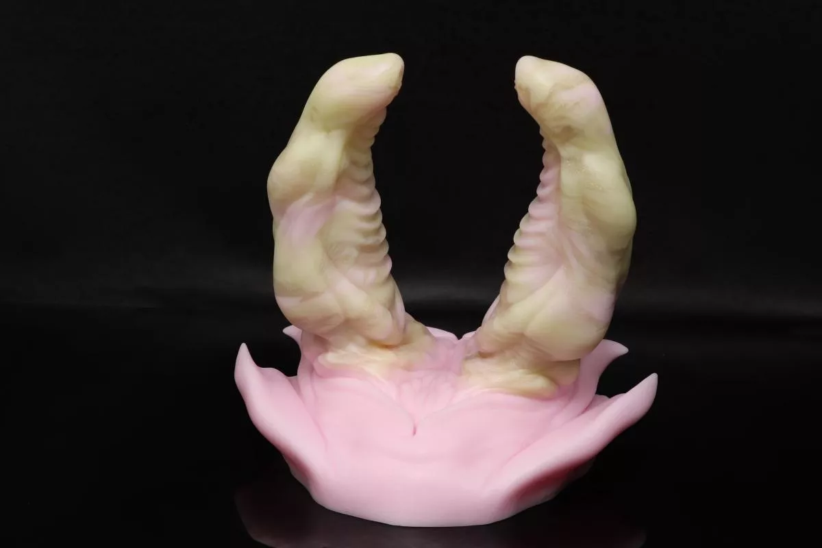 EEEEK!! I got this amazingly adorable rogue champagne cake Bruce today! What do you guys think? Is it really a rogue champagne cake? Also I'd love to hear some reviews on Bruce. posted by Dutch_Kitsune