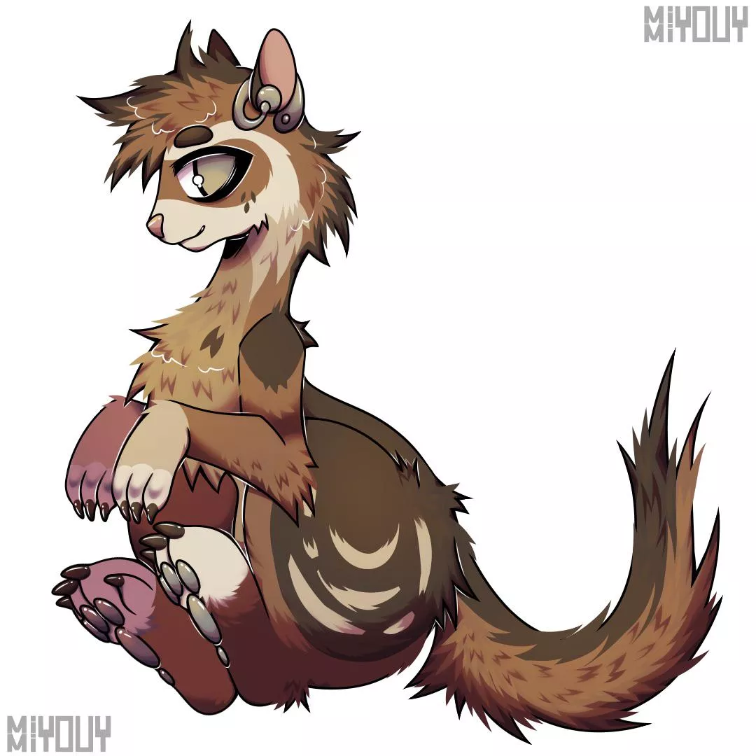 Ferret I Drew as a free request posted by mimiyouy