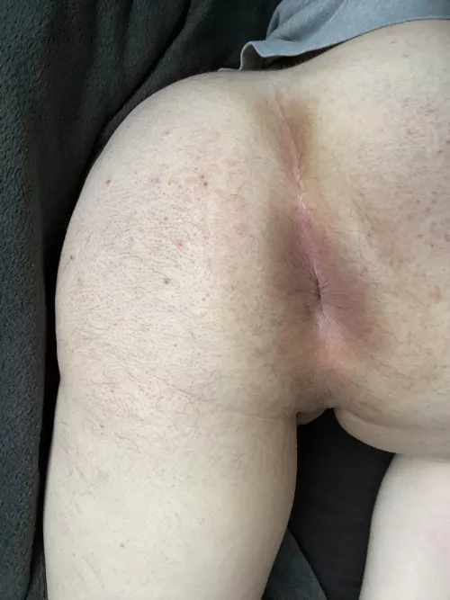 Got bred today by Liamjk2002