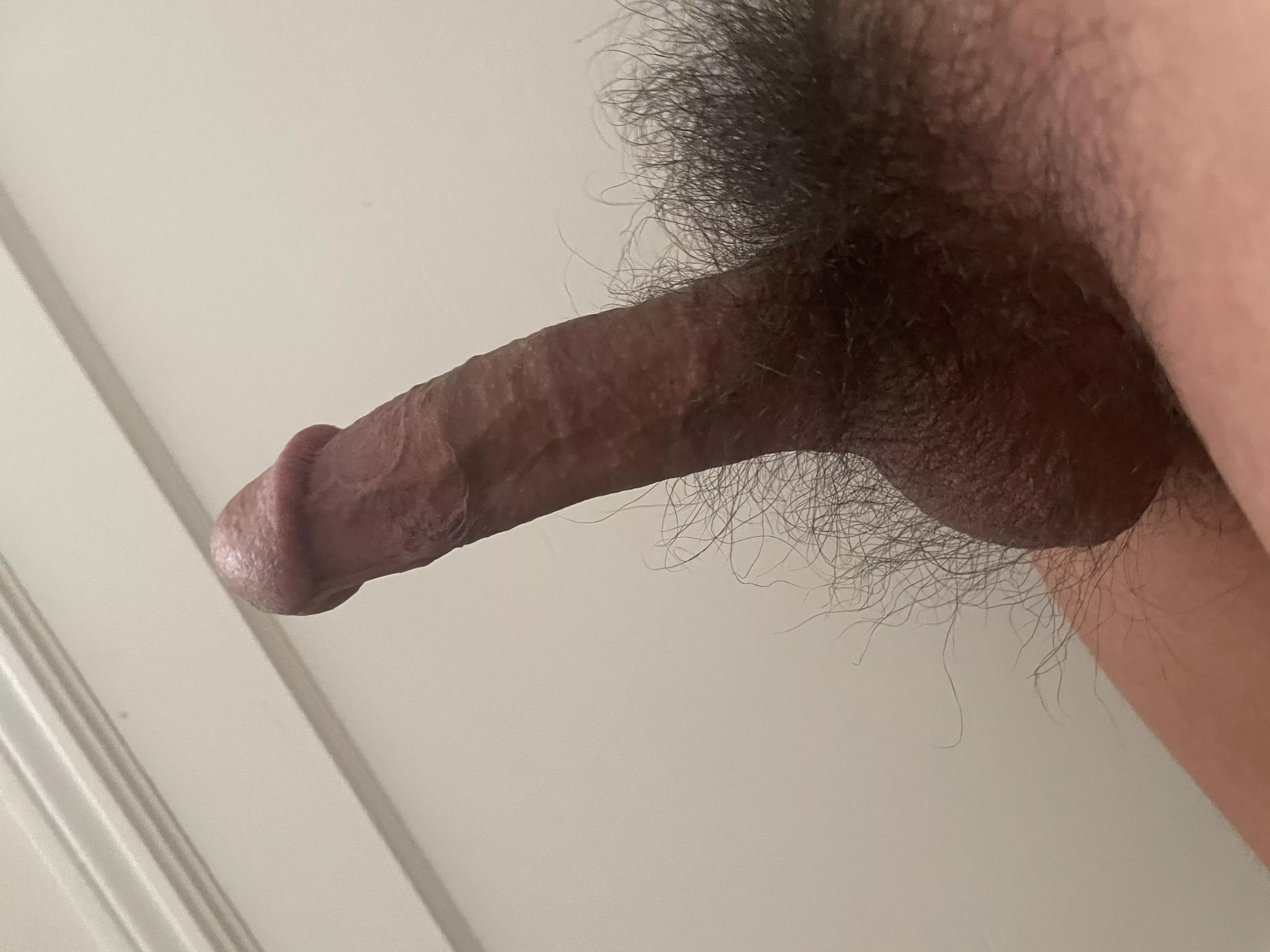 Haven’t trimmed in years posted by Bilatinoguy89