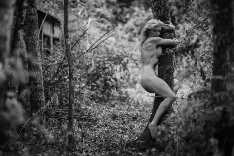 I keep hugging trees by HelenSaunders