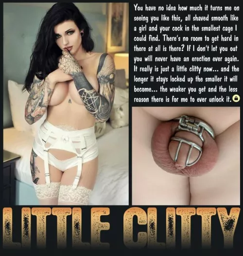LITTLE CLITTY [chastity] [femdom] [denial] by Teas_Denial