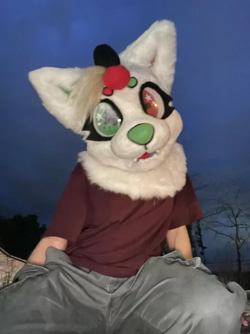 Miau :3 by AcidicBattery