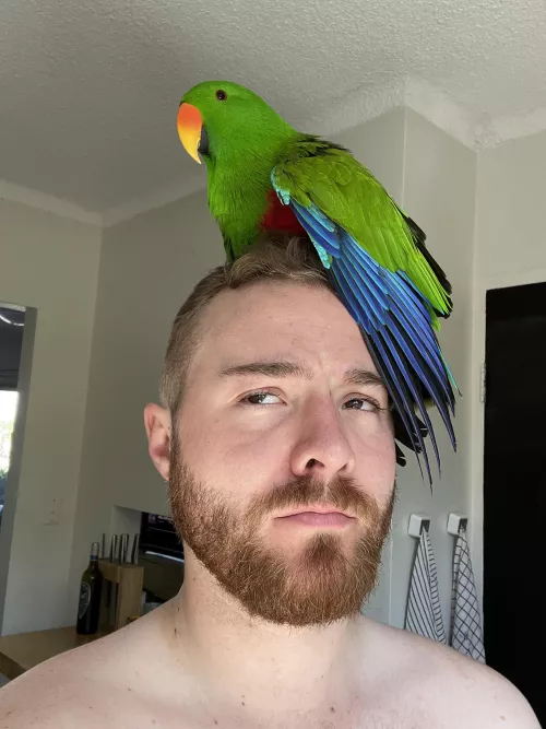 My (overly attached) one true love. by manifold3r