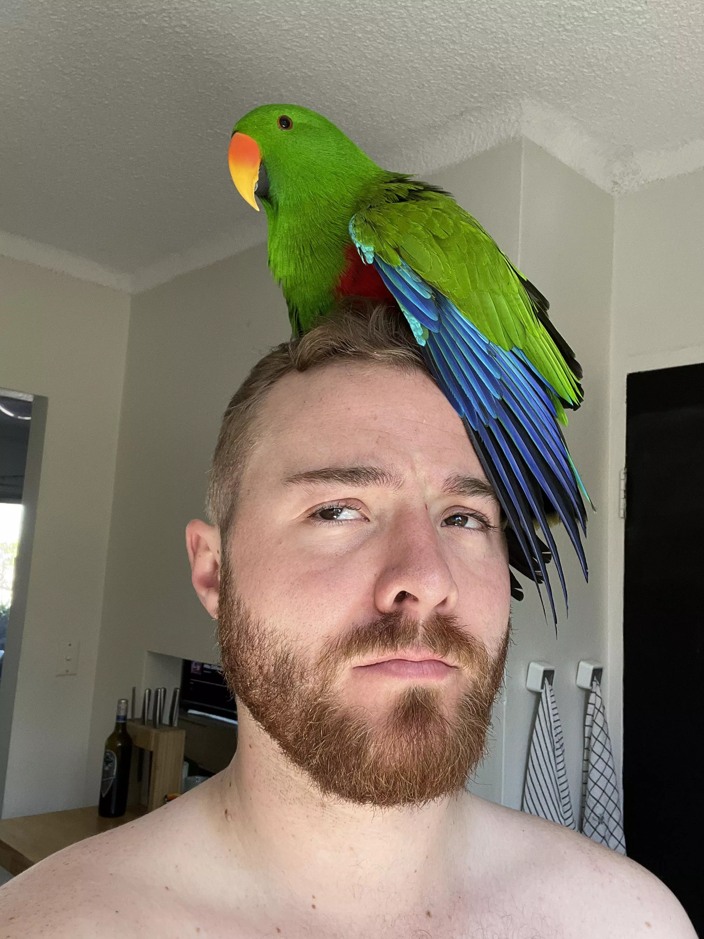 My (overly attached) one true love. posted by manifold3r