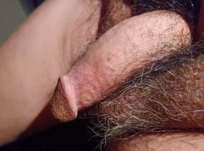 My softie...🩷 by Billie_Rayson