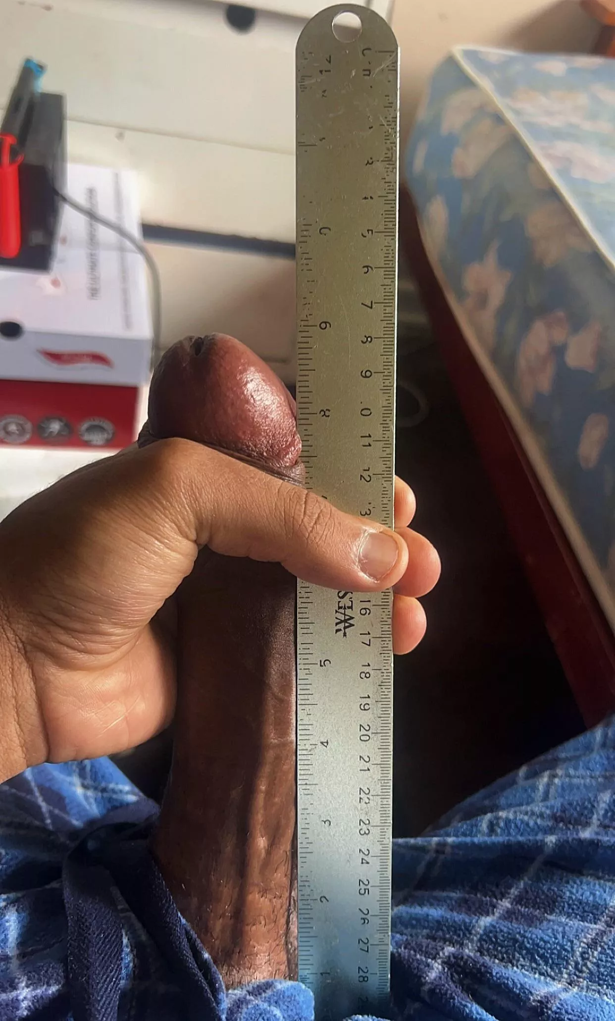 Nearly a 9 inch snake 🫣 posted by Snxxxke