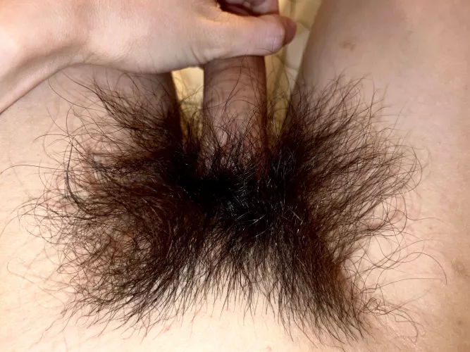 Should I keep on growing out my pubes?😉 by HairyWildBush