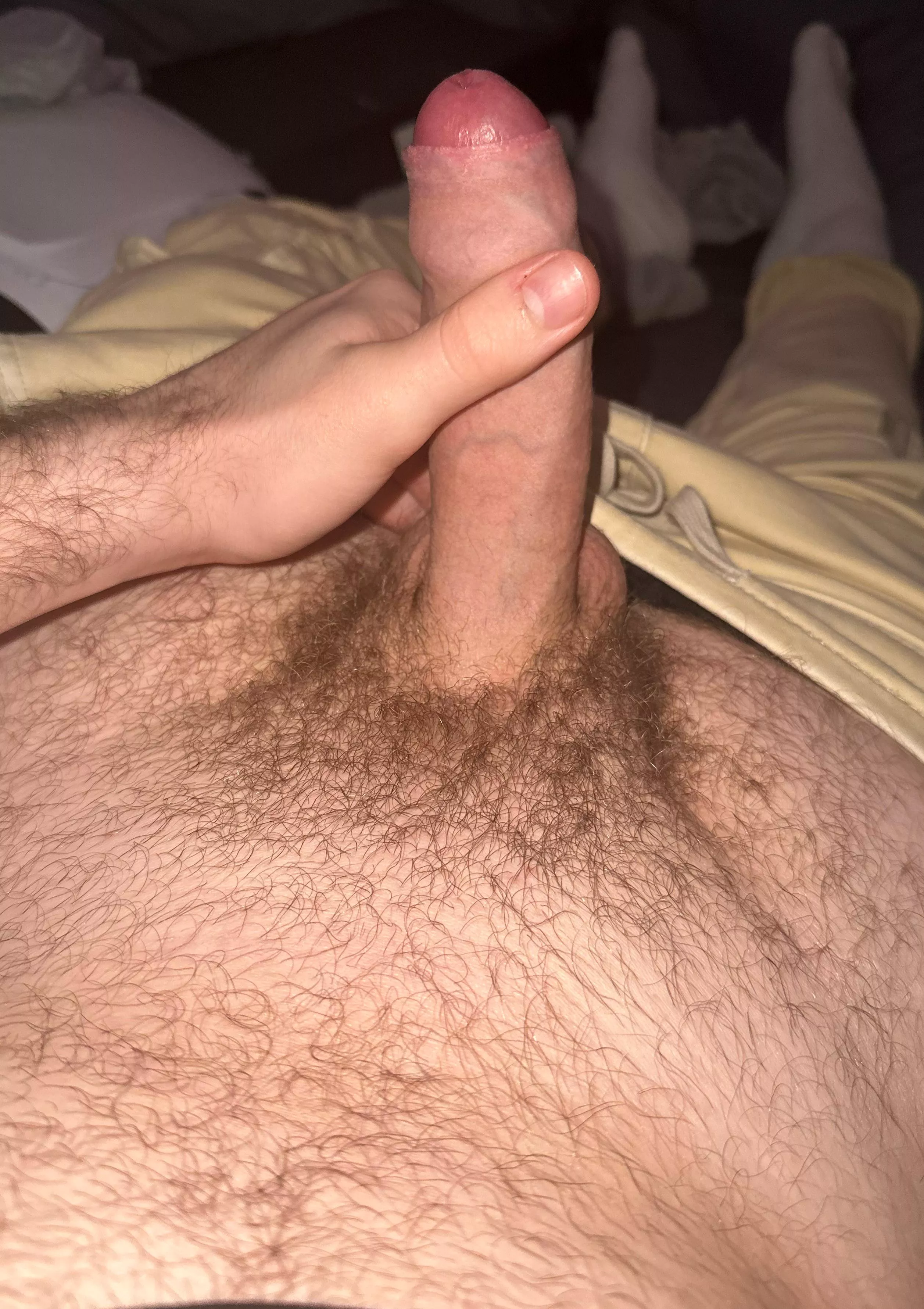 Should I shave the hair or let the forest grow more? posted by Local-Lie8952