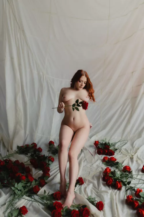 so adorable by advancedLawrence545