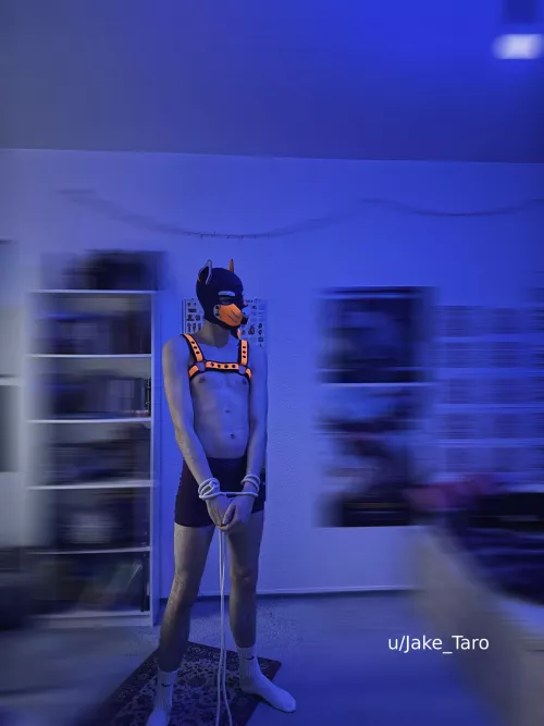 somehow i got tangled up again 👀 by Jake_Taro