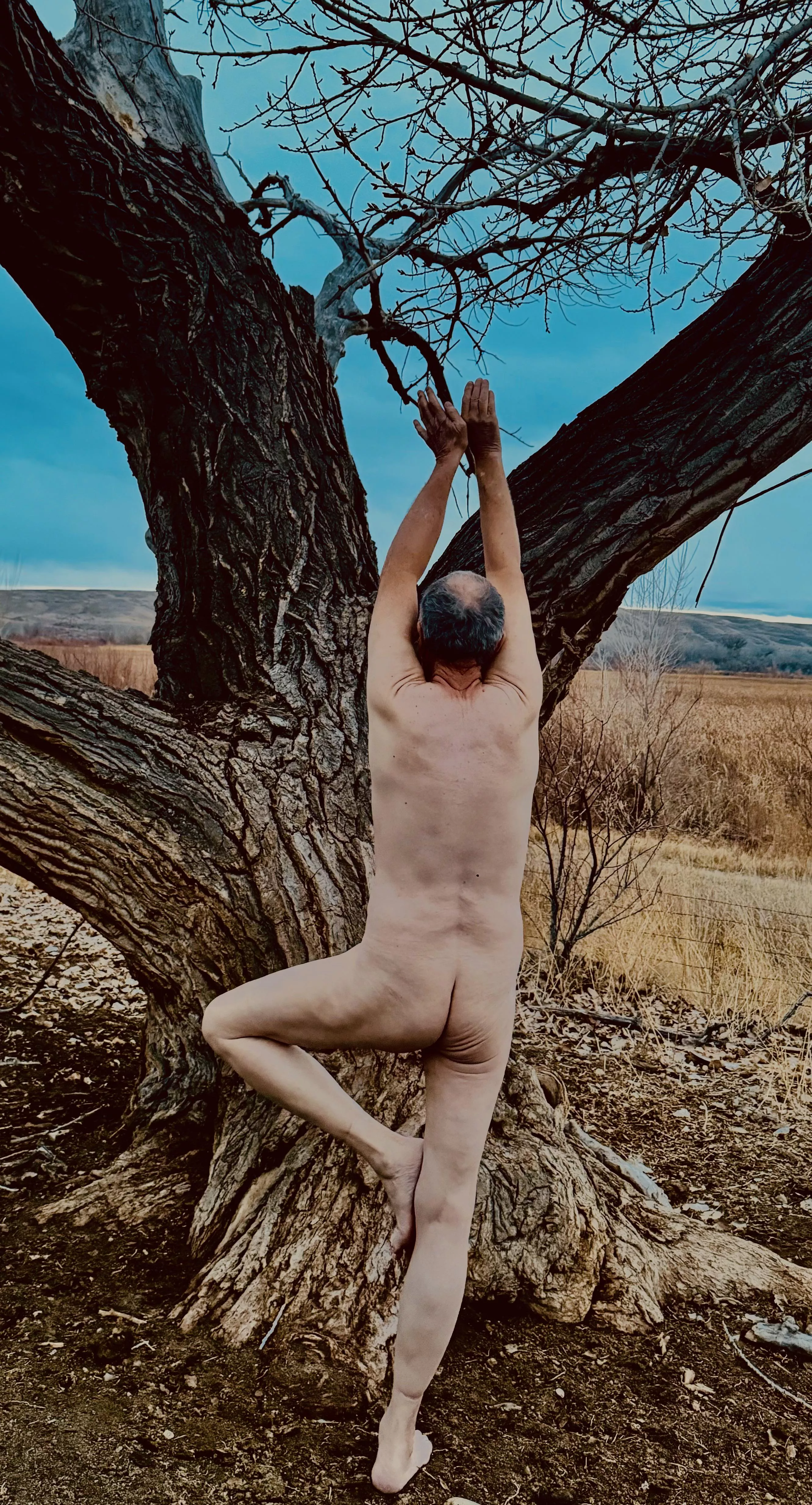 🌳Tree Pose Tuesday 🌿 posted by Fickle-Repair486