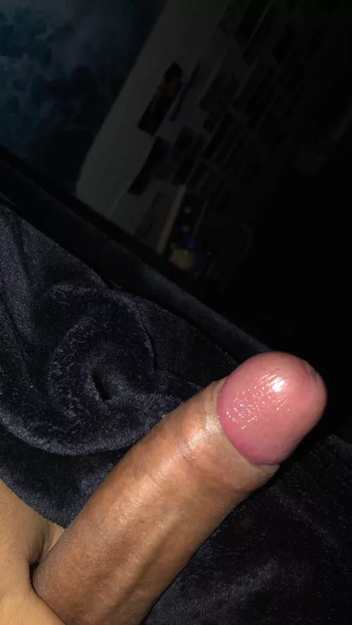 21 high and horny, I’ve been edging all day, i need someone to help me finish by Professional_Guest28